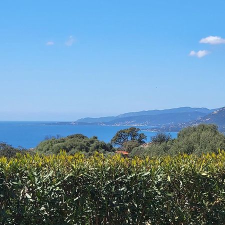 T2 Propriano vue mer classé 3 étoiles Viggianello Extérieur photo