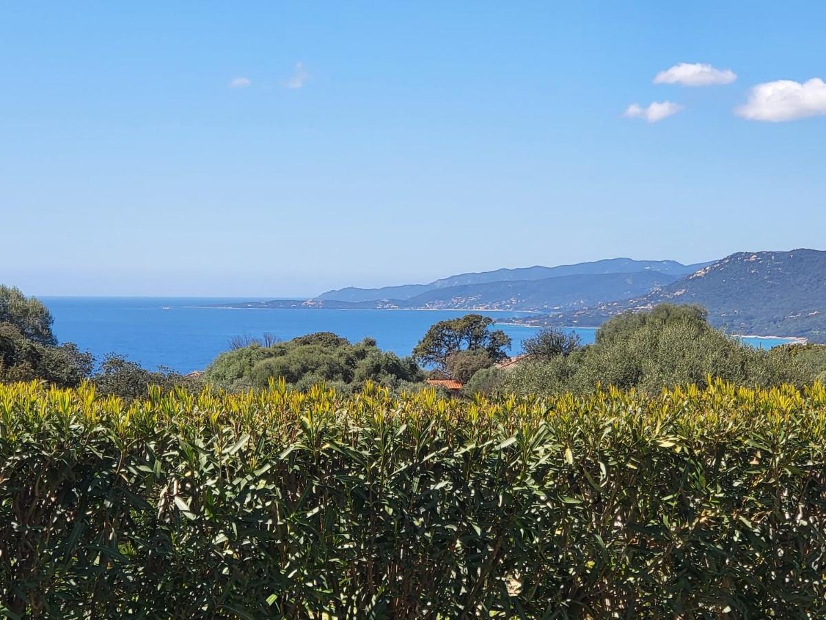 T2 Propriano vue mer classé 3 étoiles Viggianello Extérieur photo