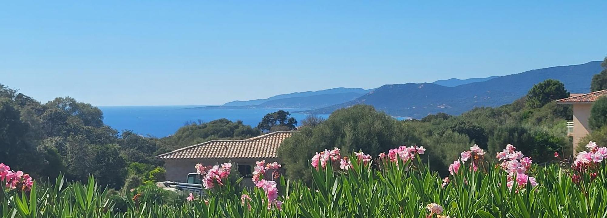 T2 Propriano vue mer classé 3 étoiles Viggianello Extérieur photo